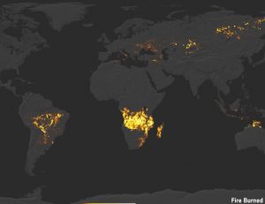 Read more about the article Forest Monitoring and Change Detection using Remote Sensing Data