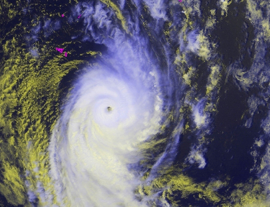 Read more about the article Forest Monitoring and Change Detection using Remote Sensing Data