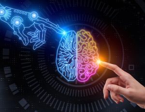 Read more about the article Education