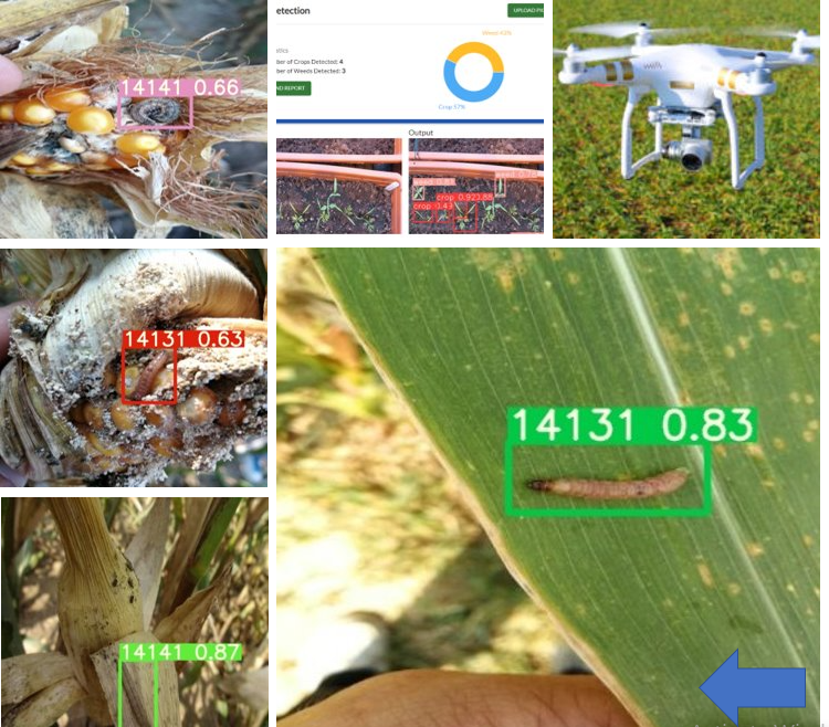 Read more about the article Automated Insect Detection and Crop Health Monitoring, RAC-Nescom