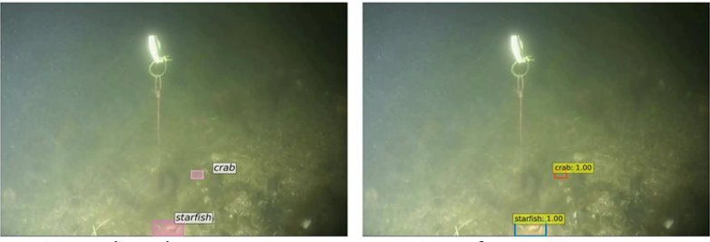 Read more about the article Underwater Object Detection – Deep Learning-based Transformers​