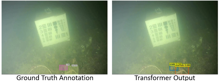 Read more about the article Underwater Object Detection
